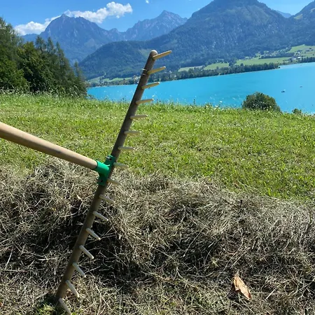 Farm stay Reiterhof Suassbauer Sankt Wolfgang im Salzkammergut