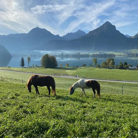 Reiterhof Suassbauer * Sankt Wolfgang im Salzkammergut