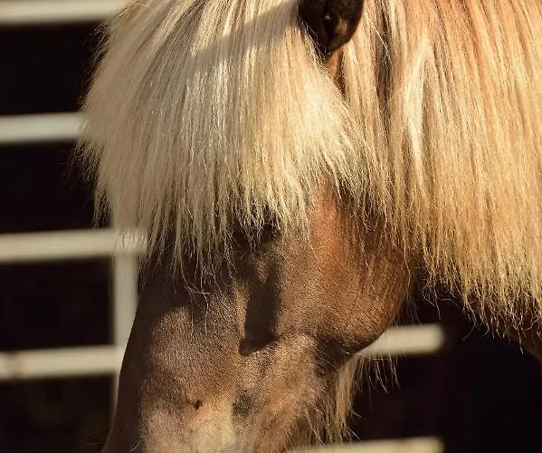 Séjour à la ferme Reiterhof Suassbauer