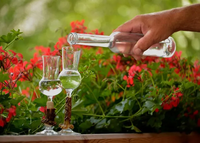 Reiterhof Suassbauer