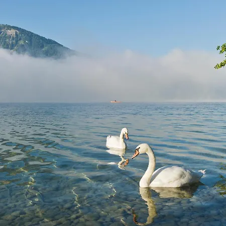 ファームステイ Reiterhof Suassbauer *