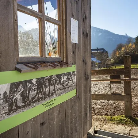 Reiterhof Suassbauer Saint Wolfgang