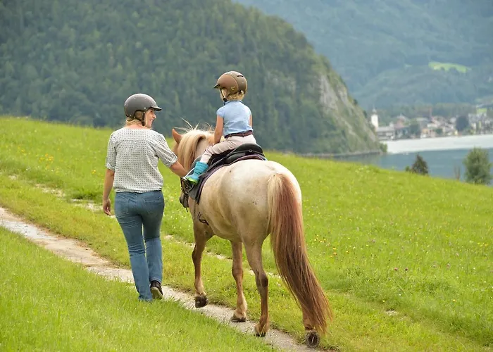 Feriegård Reiterhof Suassbauer *