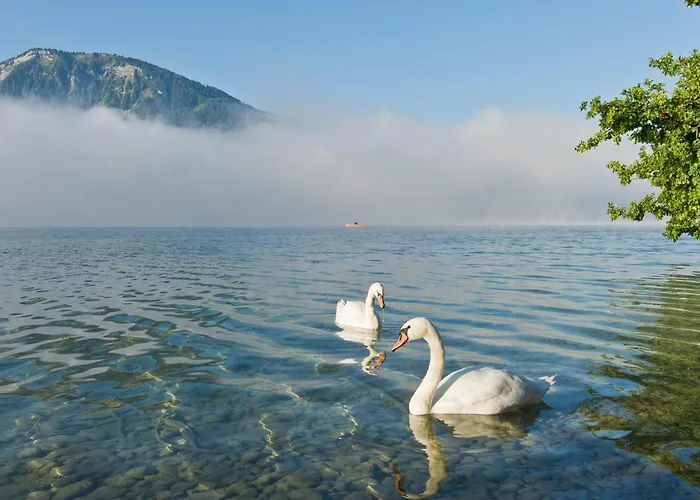 Feriegård Reiterhof Suassbauer *